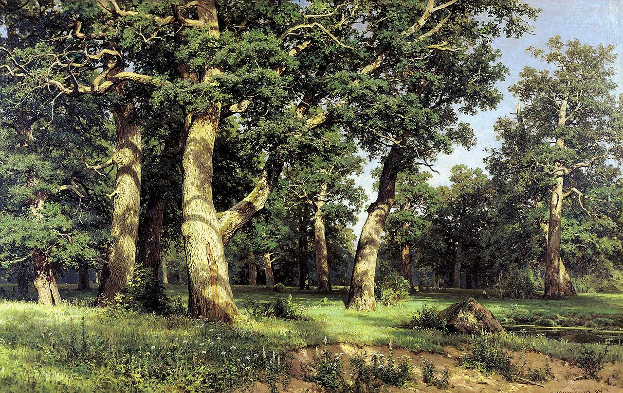 Shishkin
